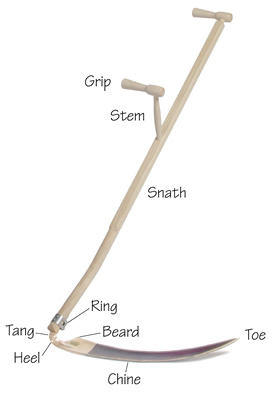 Click to purchase a European Scythe European Scythe parts, labeled
